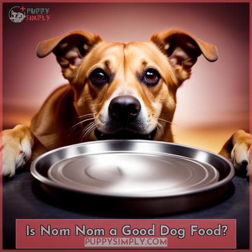 Is Nom Nom a Good Dog Food
