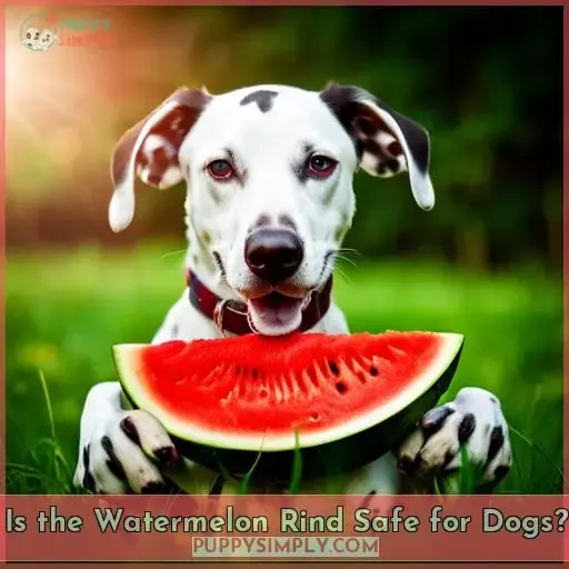 Is the Watermelon Rind Safe for Dogs