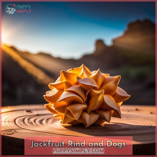 Jackfruit Rind and Dogs
