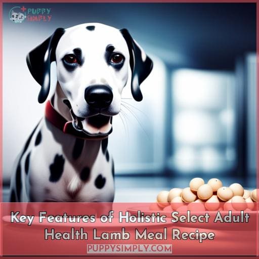 Key Features of Holistic Select Adult Health Lamb Meal Recipe