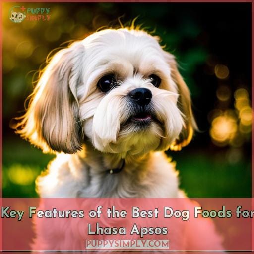 Key Features of the Best Dog Foods for Lhasa Apsos