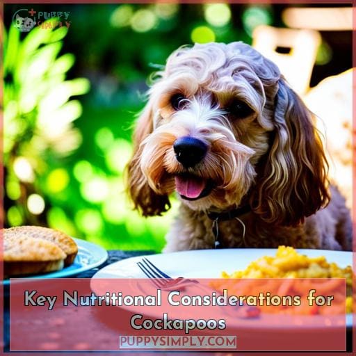 Key Nutritional Considerations for Cockapoos