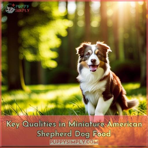 Key Qualities in Miniature American Shepherd Dog Food