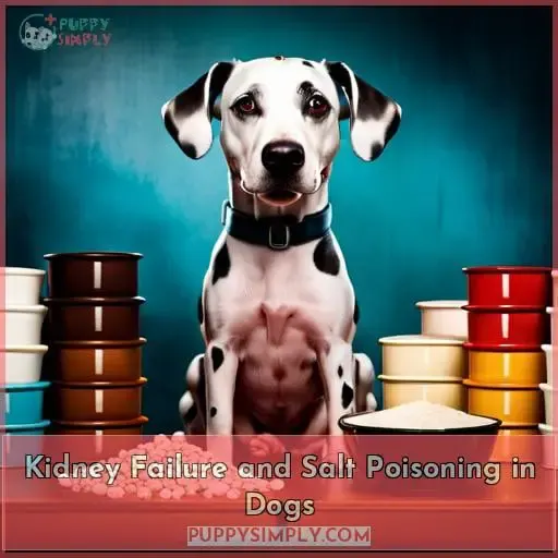 Kidney Failure and Salt Poisoning in Dogs