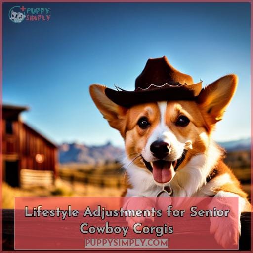 Lifestyle Adjustments for Senior Cowboy Corgis