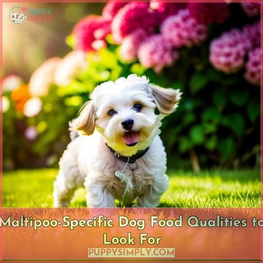 Maltipoo-Specific Dog Food Qualities to Look For