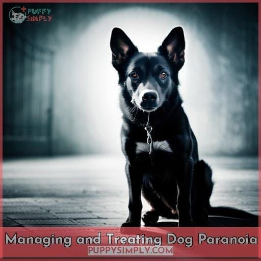 Managing and Treating Dog Paranoia