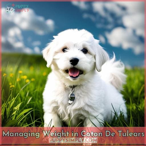 Managing Weight in Coton De Tulears