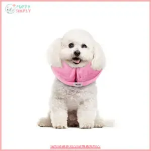 MCHY Inflatable Dog Cone,Adjustable Recovery