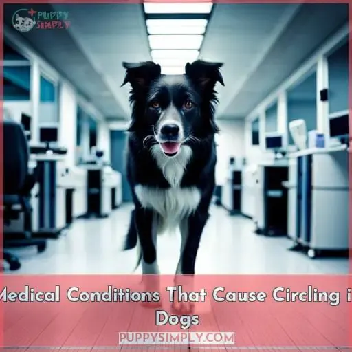 Medical Conditions That Cause Circling in Dogs