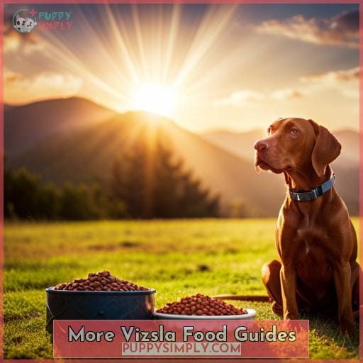 More Vizsla Food Guides