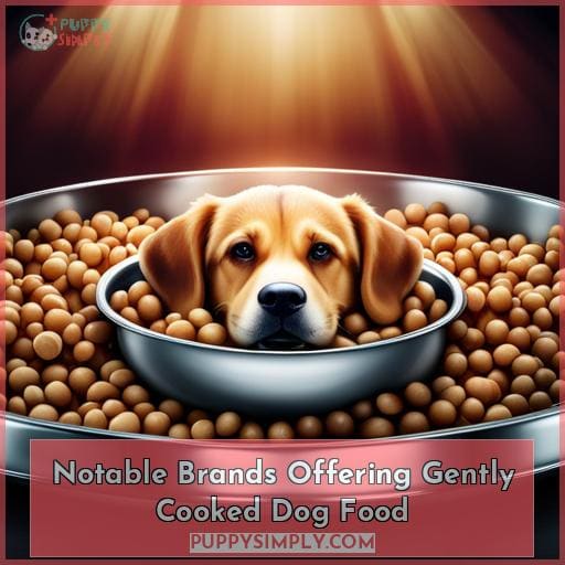 Gently Cooked Dog Food: Wholesome Nutrition & Cooking Process