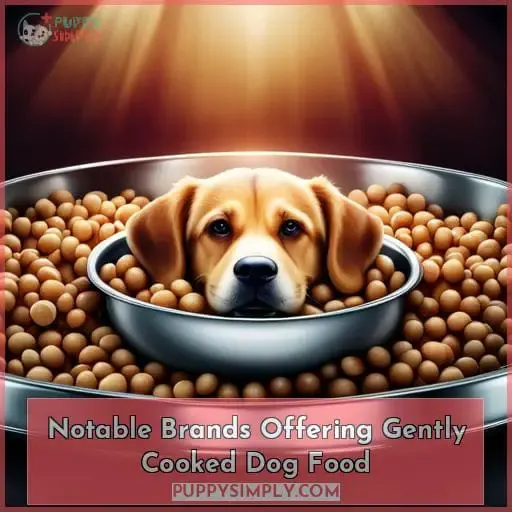 Notable Brands Offering Gently Cooked Dog Food