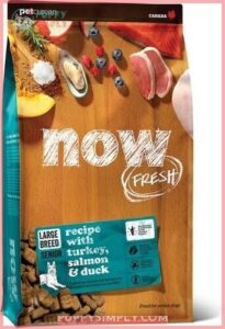 Now Fresh Grain-Free Large Breed 287675