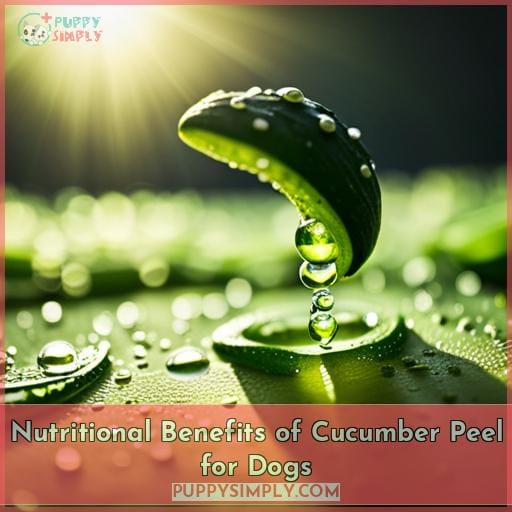 Nutritional Benefits of Cucumber Peel for Dogs