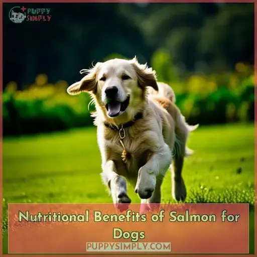 Nutritional Benefits of Salmon for Dogs