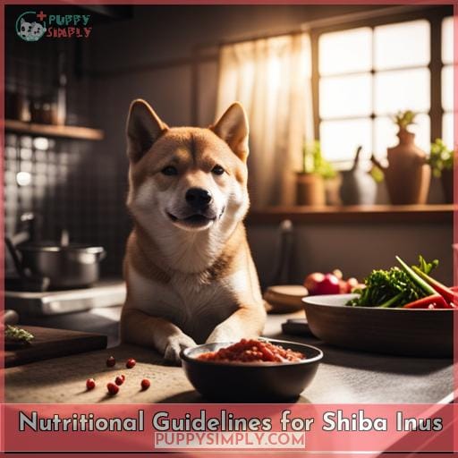 Nutritional Guidelines for Shiba Inus
