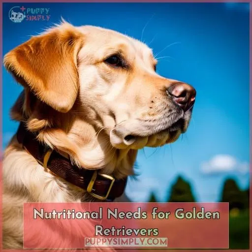 Nutritional Needs for Golden Retrievers