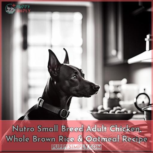 Nutro Small Breed Adult Chicken, Whole Brown Rice & Oatmeal Recipe