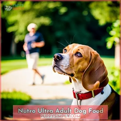 Nutro Ultra Adult Dog Food