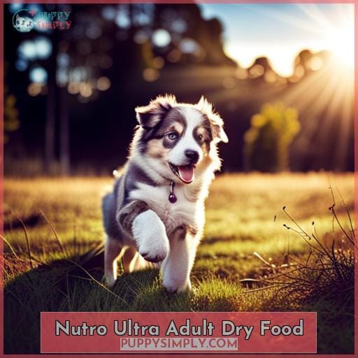 Nutro Ultra Adult Dry Food