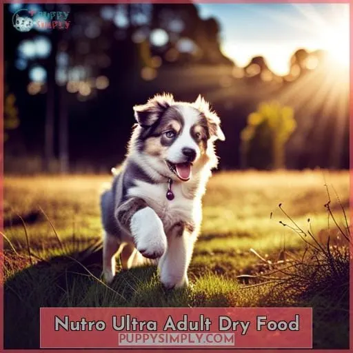 Nutro Ultra Adult Dry Food