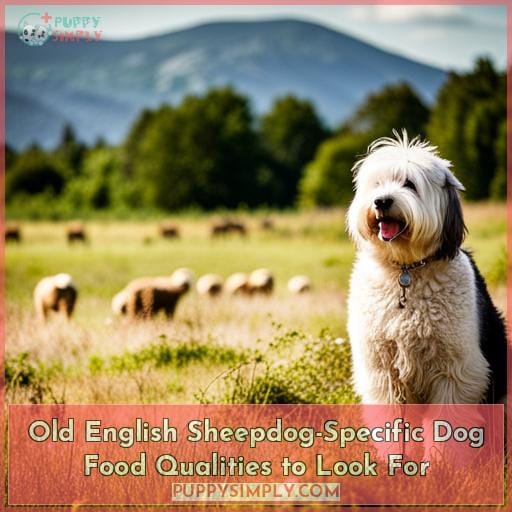 Old English Sheepdog-Specific Dog Food Qualities to Look For