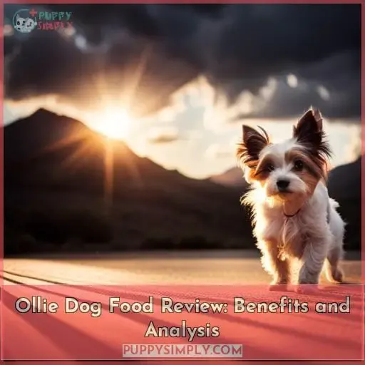 ollie dog food review