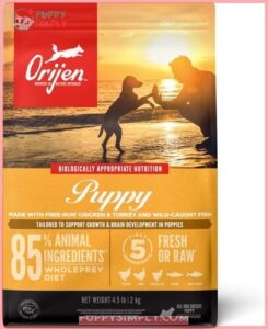 ORIJEN Puppy Grain-Free Dry Puppy 128810