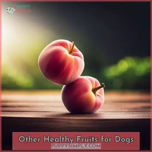 Other Healthy Fruits for Dogs