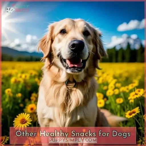 Other Healthy Snacks for Dogs