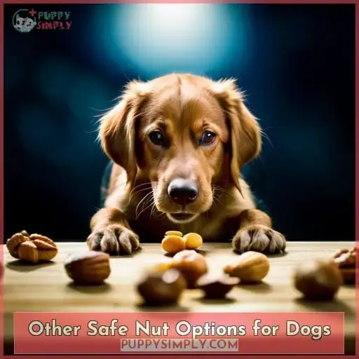 Other Safe Nut Options for Dogs
