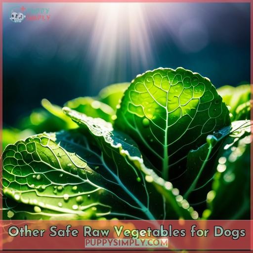 Other Safe Raw Vegetables for Dogs