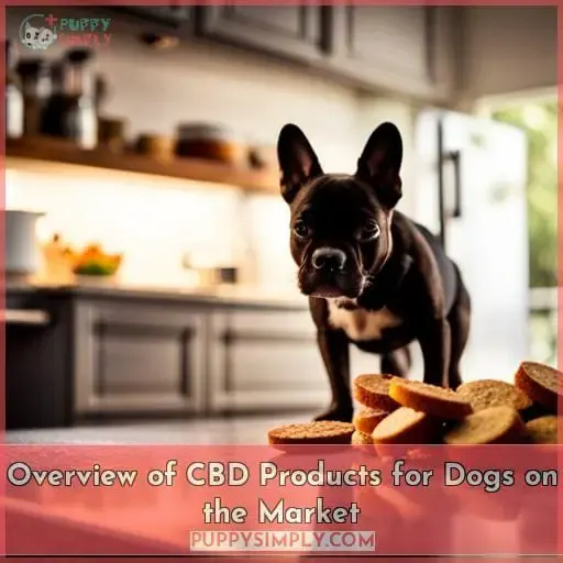 Overview of CBD Products for Dogs on the Market