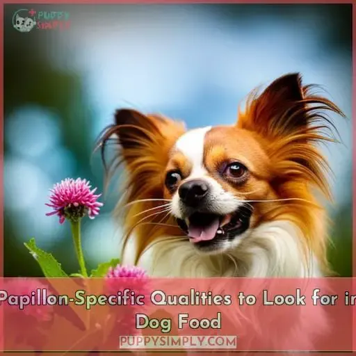 Papillon-Specific Qualities to Look for in Dog Food