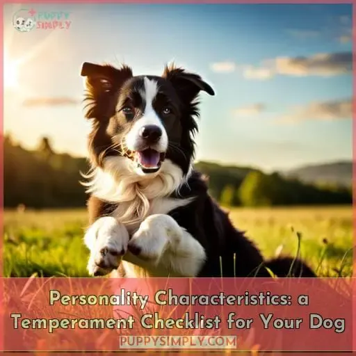 Personality Characteristics: a Temperament Checklist for Your Dog