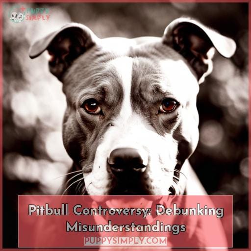 Pitbull Controversy: Debunking Misunderstandings