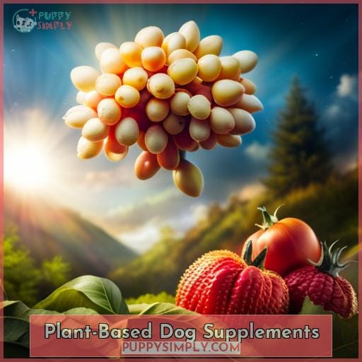 Plant-Based Dog Supplements