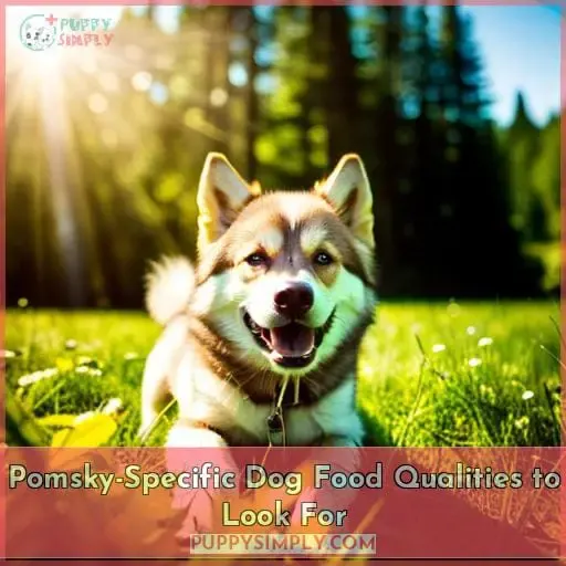 Pomsky-Specific Dog Food Qualities to Look For
