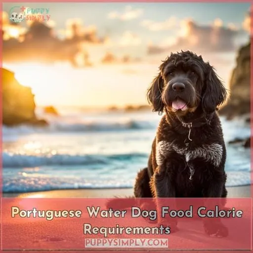 Portuguese Water Dog Food Calorie Requirements