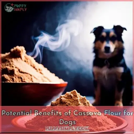 Potential Benefits of Cassava Flour for Dogs