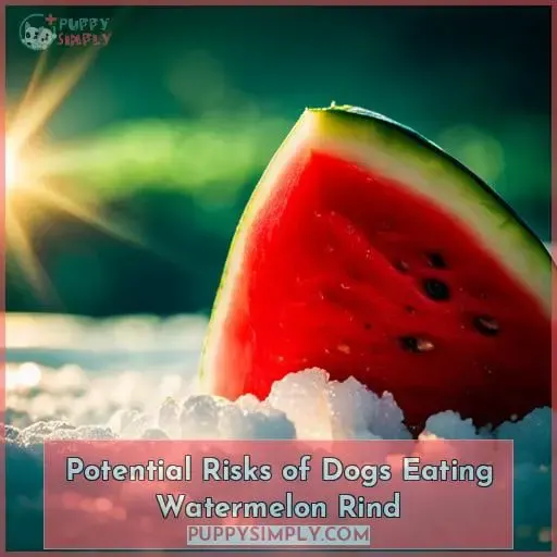 Potential Risks of Dogs Eating Watermelon Rind