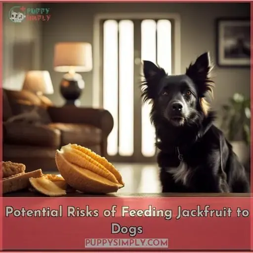 Potential Risks of Feeding Jackfruit to Dogs