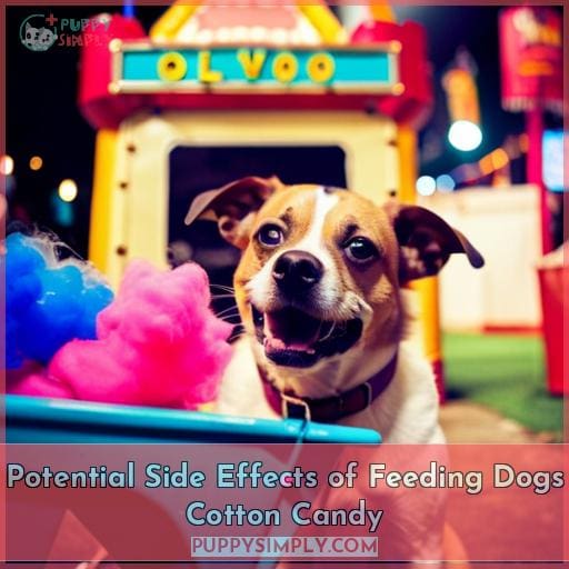 Potential Side Effects of Feeding Dogs Cotton Candy