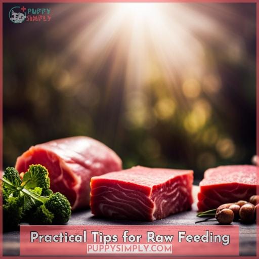 Practical Tips for Raw Feeding