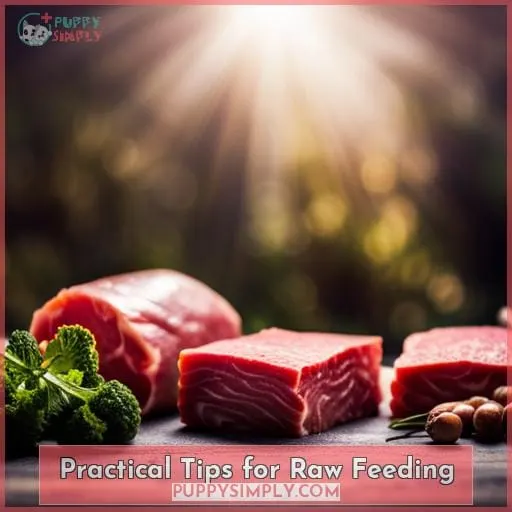 Practical Tips for Raw Feeding