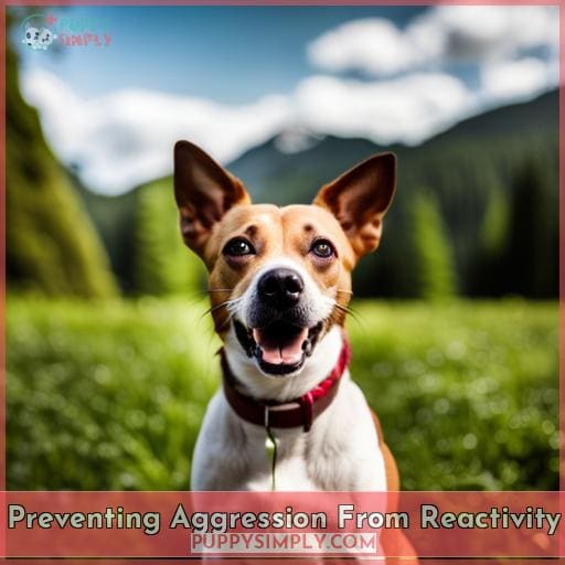 Preventing Aggression From Reactivity