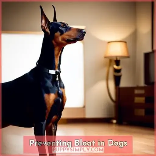 Preventing Bloat in Dogs