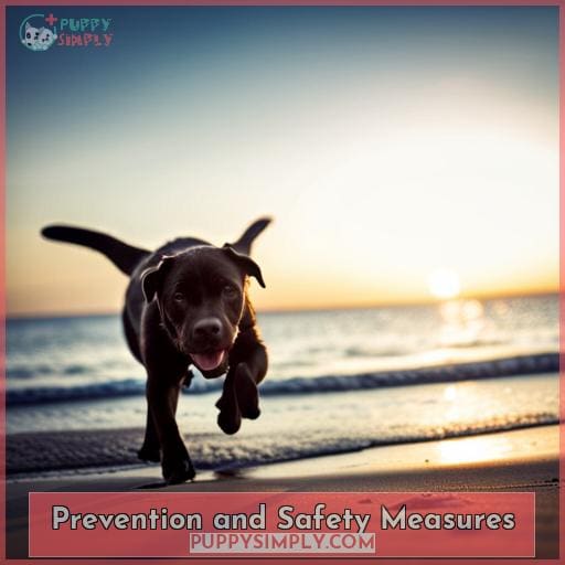 Prevention and Safety Measures