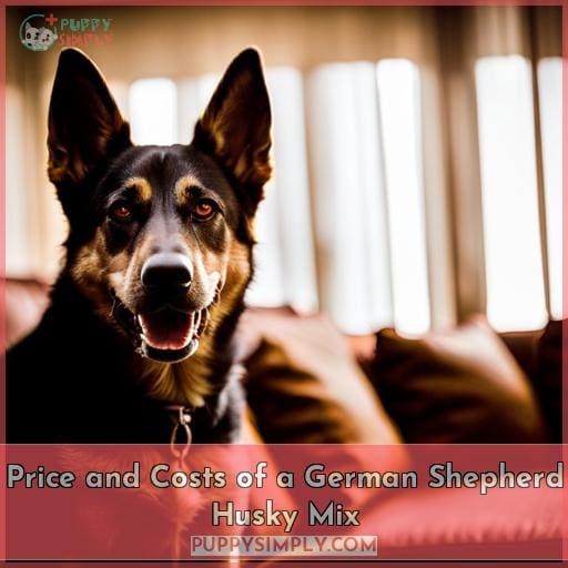 Price and Costs of a German Shepherd Husky Mix